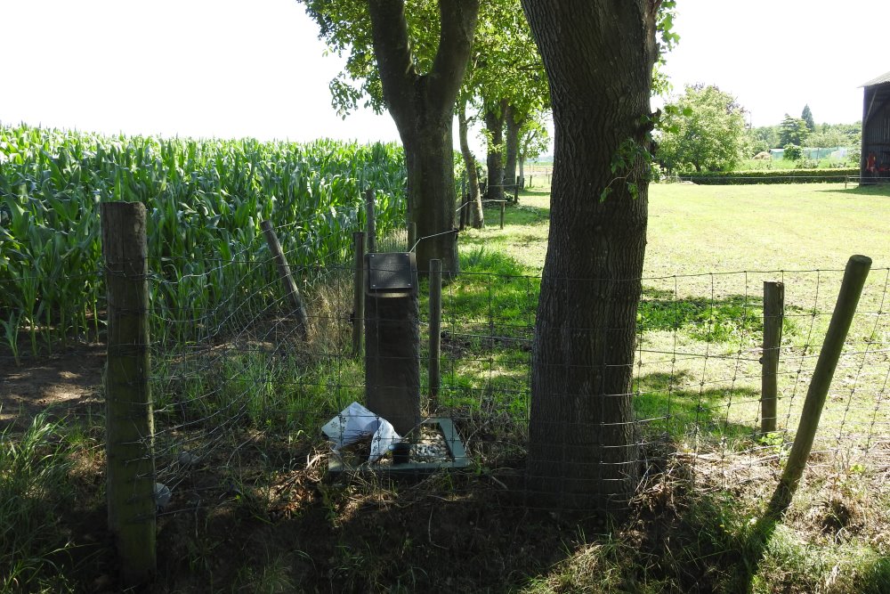 Monument Crash Lancaster ED347 Den Hout