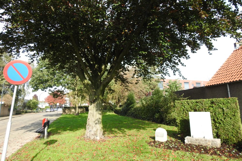 Remembrance Tree Liberation Waalwijk #1