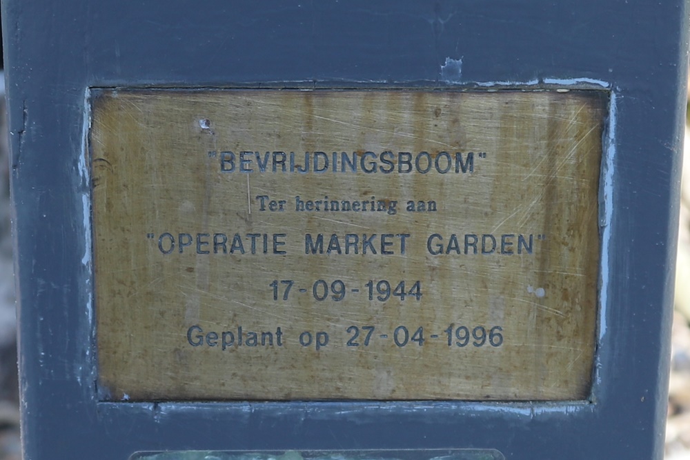 Bevrijdingsboom 