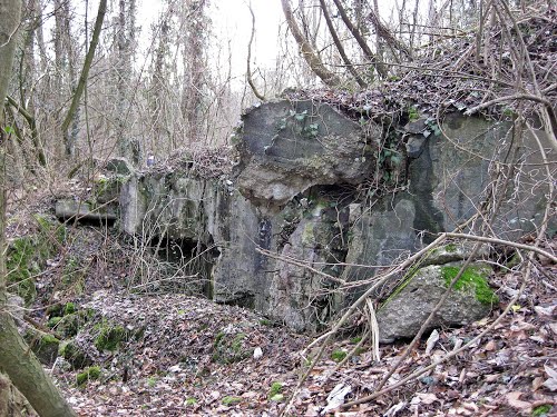 Westwall - Remains German Bunkers #1