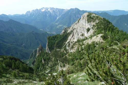 Italian Defence Position Corno Battisti