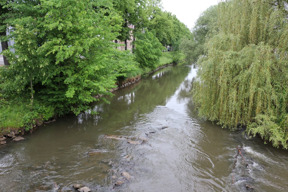 Bevrijdingsmonument Haguenau #5