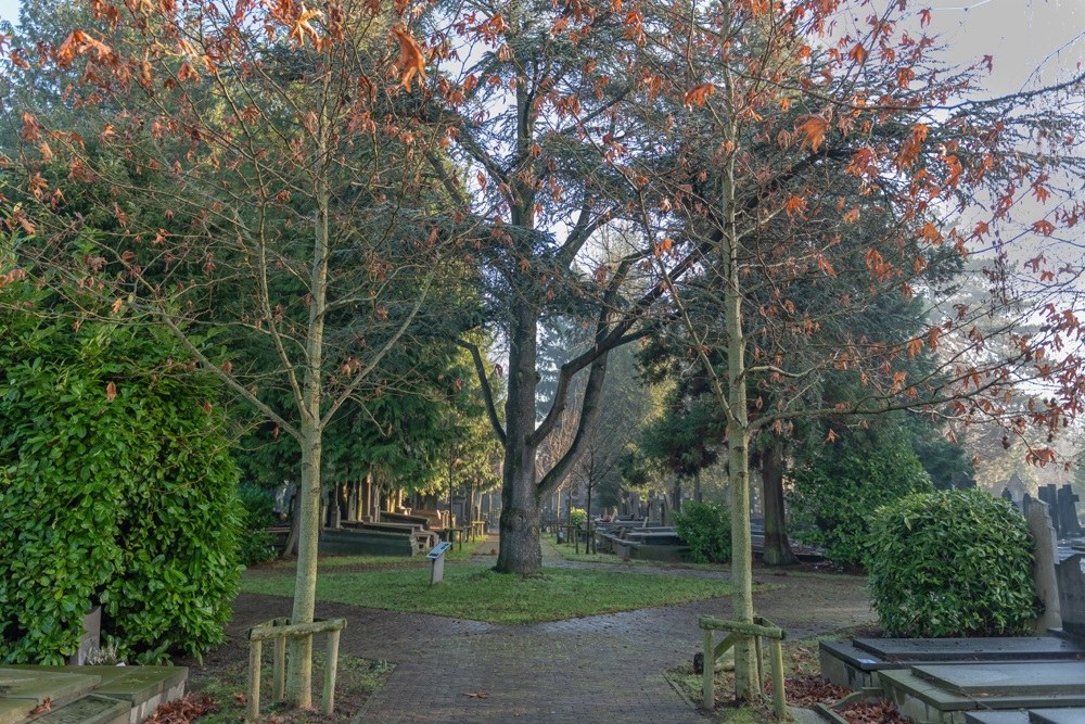 Memorial Board and Tree Old Cemetery Roeselare #1