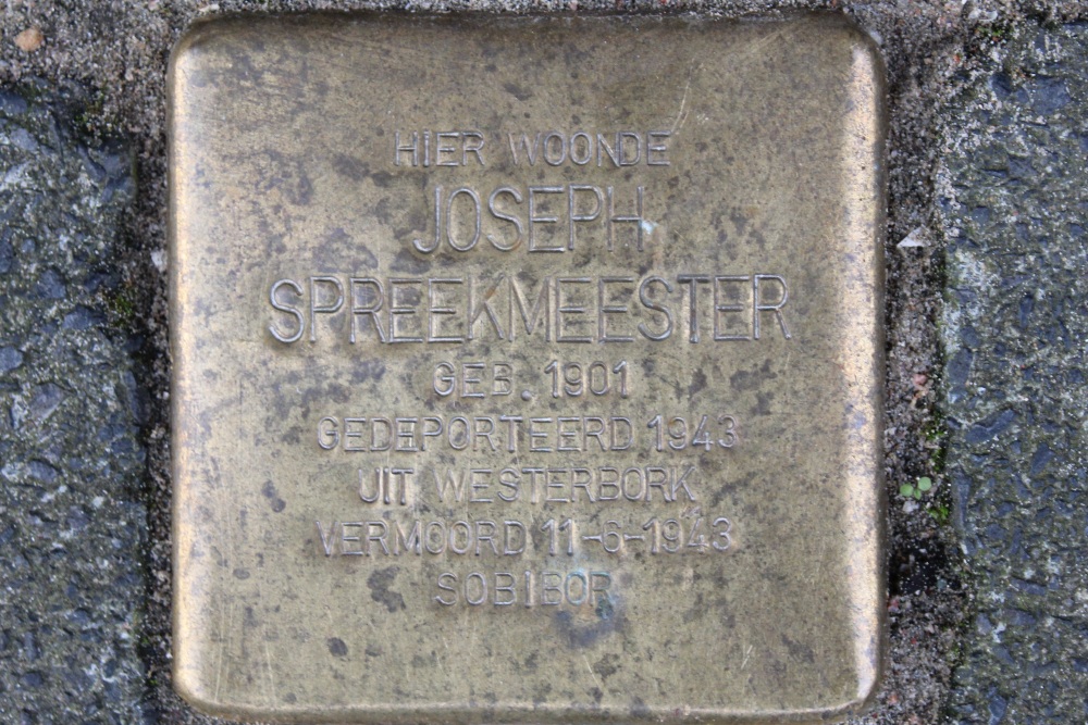 Stumbling Stones Van Gaesbekestraat 27 #2