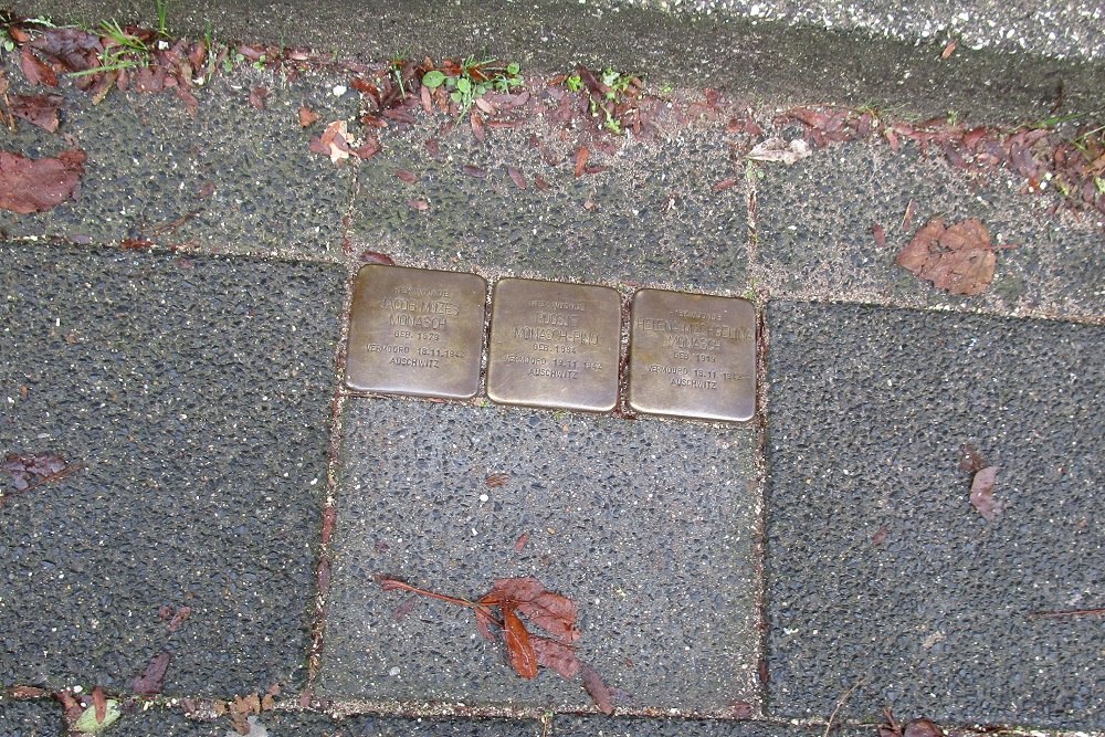 Stumbling Stones Singel 160 #1