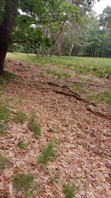 Fliegerhorst Deelen: Talud Bommenlijntje #2