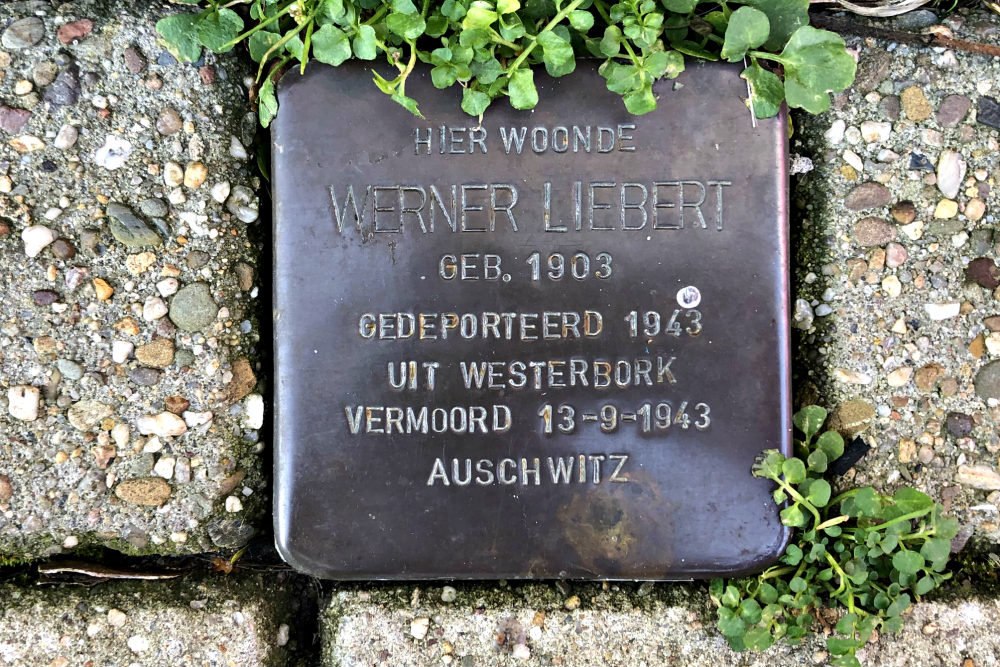 Stolpersteine Parkweg 51 #3