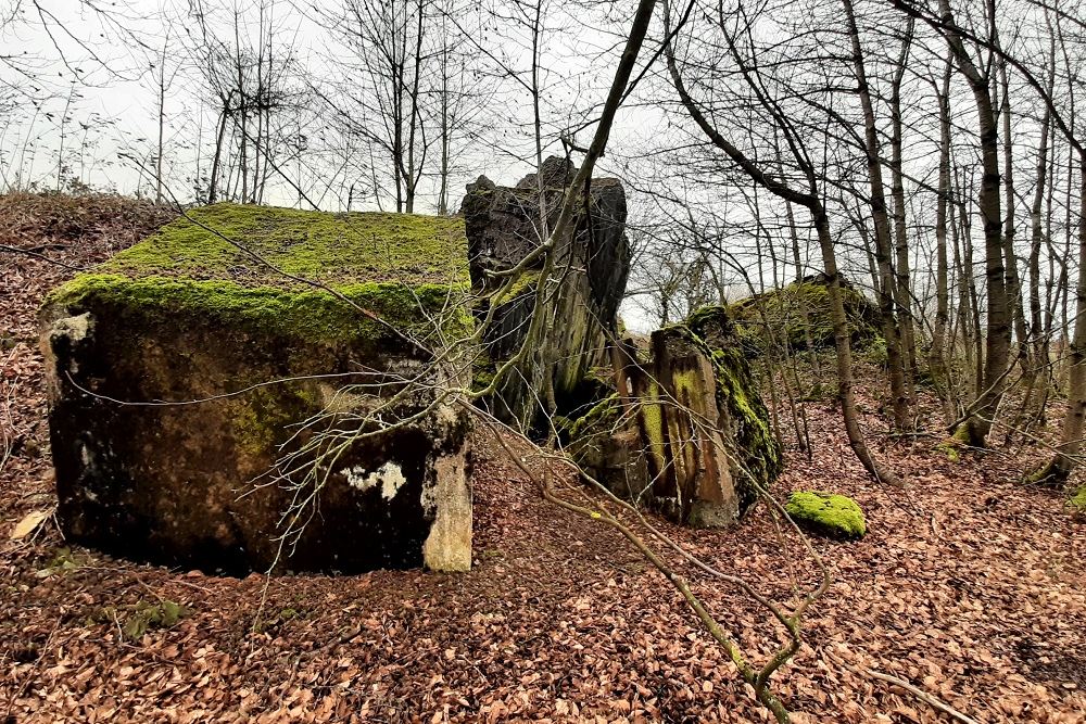 Bunker nr. 18 Vogelsang