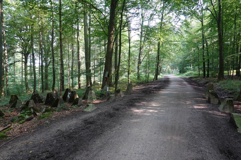 Westwall - Tank Barrier Preuswald #2