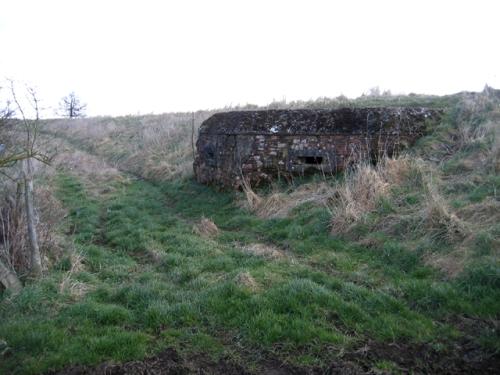 Pillbox FW3/24 Newborough #1