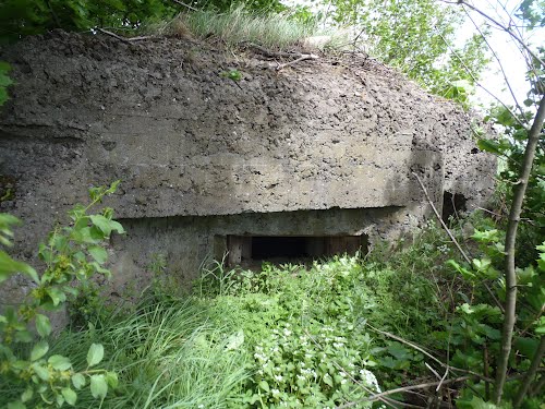 Polish Casemate #1