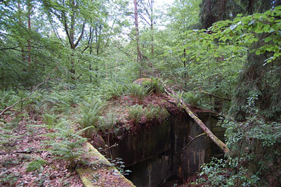 Maginot Line Casemate Biesenberg (5) #2