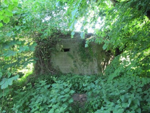 Pillbox FW3/24 Crowmarsh Gifford #1