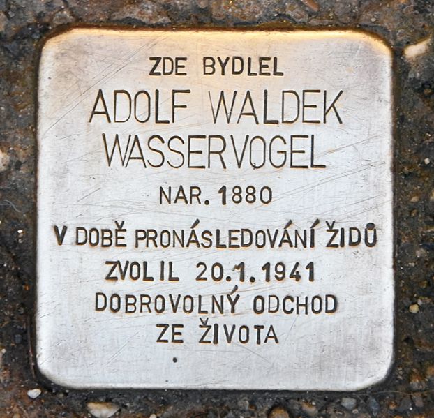 Stolperstein Horn nměst 365/7