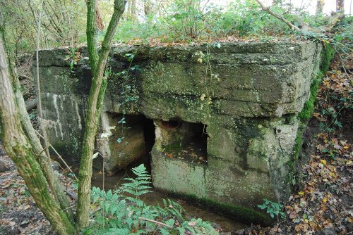 German Bunker Groeneburg Wood