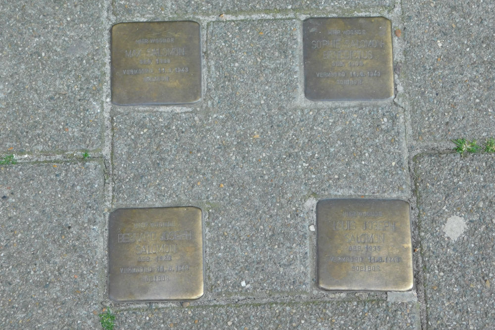 Stolperstein Alexander Battalaan 74 #1