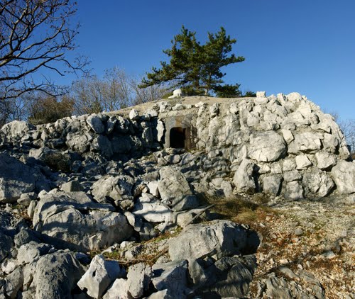 Alpine Wall - Fort S. Caterina 