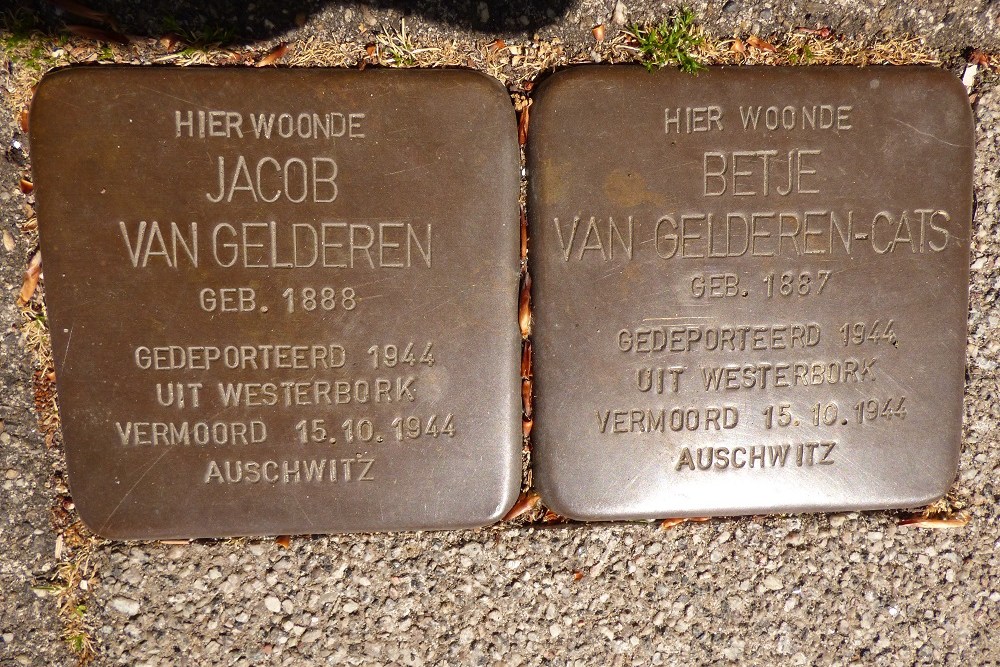 Stolpersteine C.N.A. Looslaan 18 #2