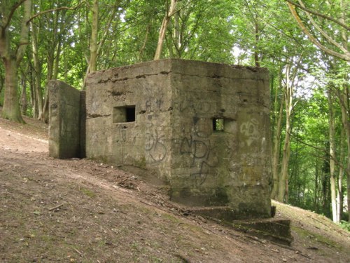 Pillbox FW3/22 Sandgate #1