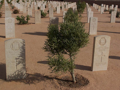 Commonwealth War Cemetery Tobruk #4