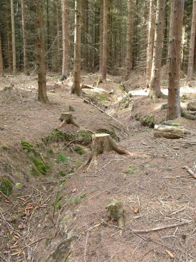 Loopgraven Meroder Wald