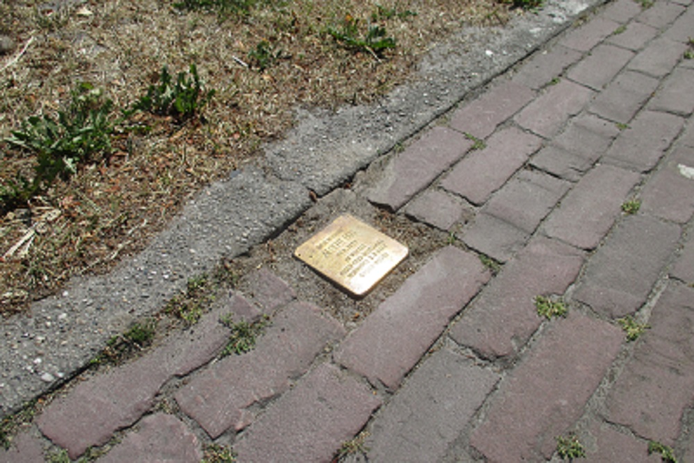 Stolperstein Hanekampswijk 49 #2