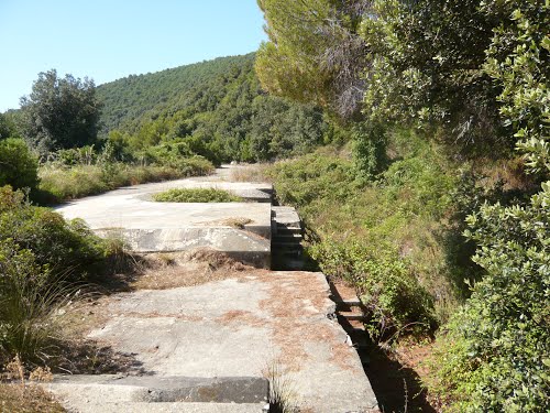 Coastal Battery Amm. Albini #1