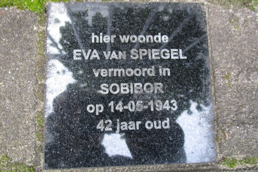 Memorial Stones Frederik van Blankenheymstraat 51 #4
