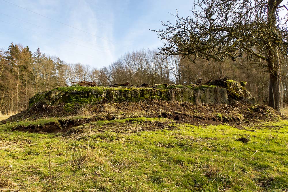 Westwall Bunker Remains #1