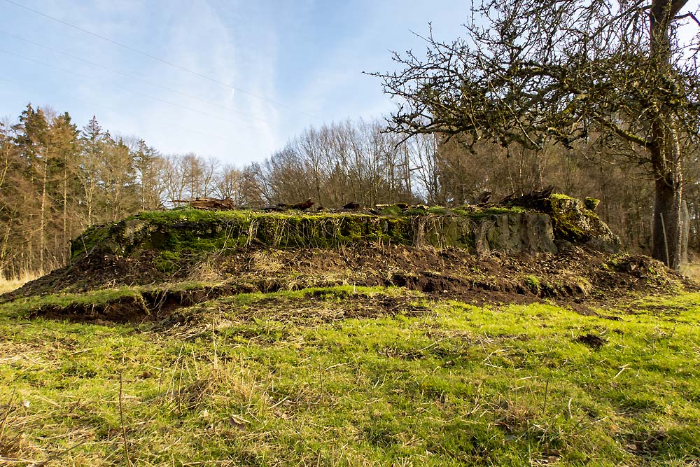 Westwall Bunker Restanten