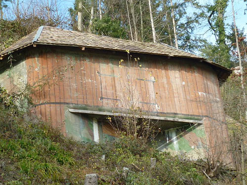 Limmat Line - Fort Grynau #2