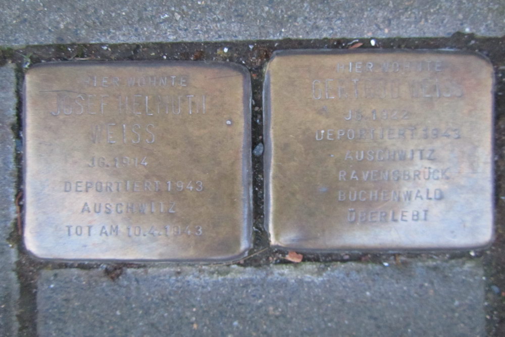 Stolpersteine Kleiner Griechenmarkt 33 #1