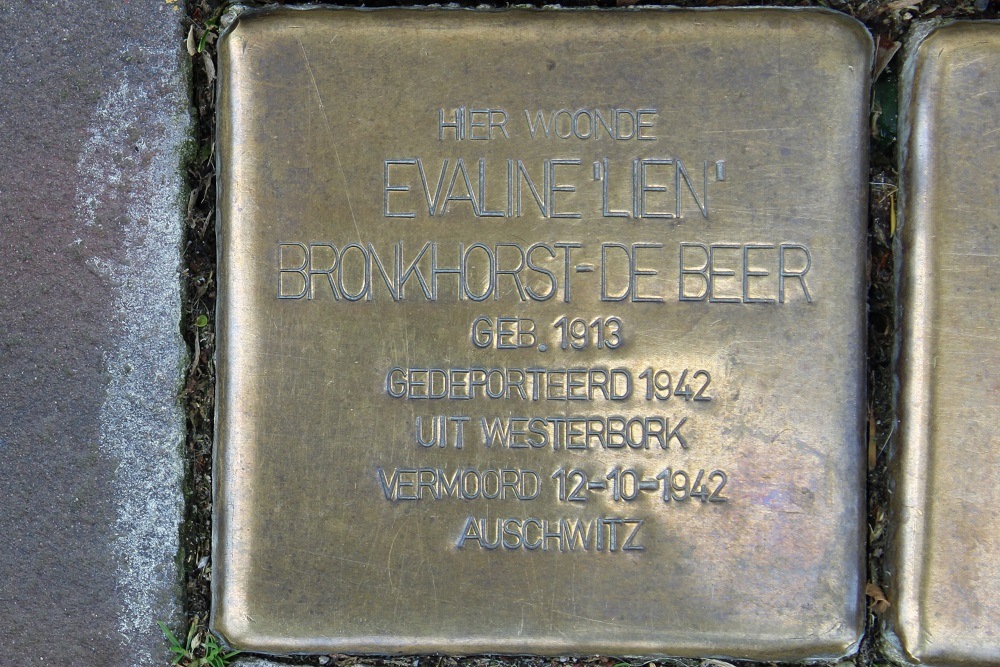 Stolpersteine Theresiastraat 111 #2