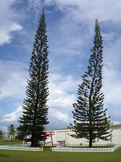 Japanse Oorlogsbegraafplaats Kwajalein #1