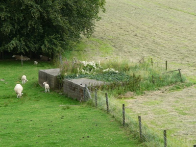 Remains G-Casemate Werk aan de Groeneweg