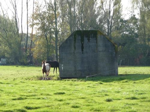 Groepsschuilplaats Type P Voordorpsedijk #1