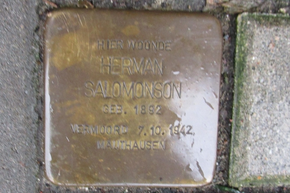 Stolpersteine Laan Copes van Cattenburch 129 #3