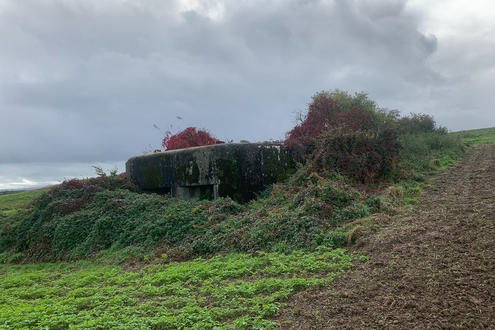 Bunker PL 17 Oupeye #3