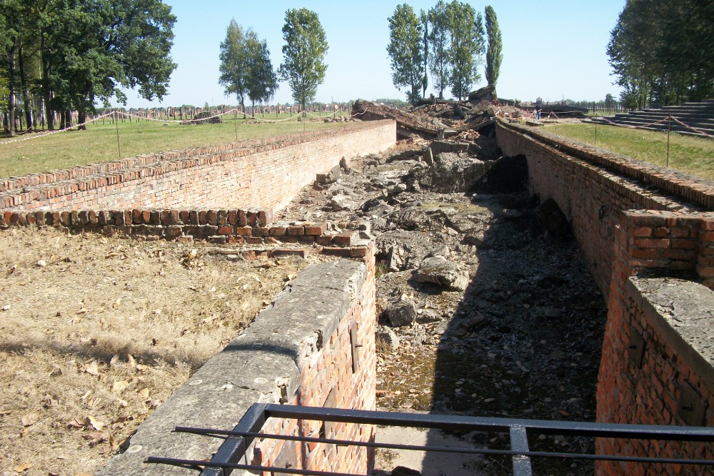 Restanten Gaskamer 3 Auschwitz II (Birkenau) #5