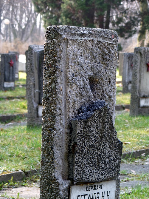 Soviet War Cemetery Gliwice #5