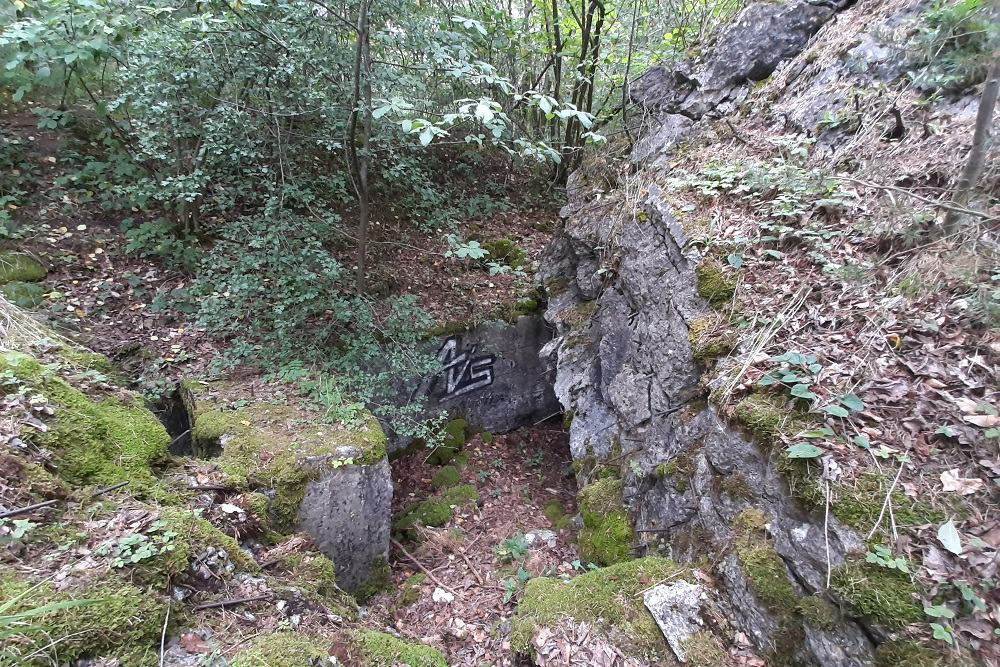 Flakstellung Zingsheim Bunker 1 #2