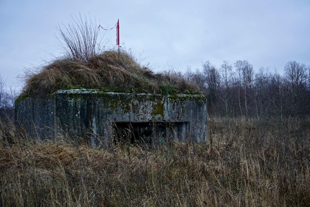 Soviet Artillery Pillbox Maloye Sirkovo #3