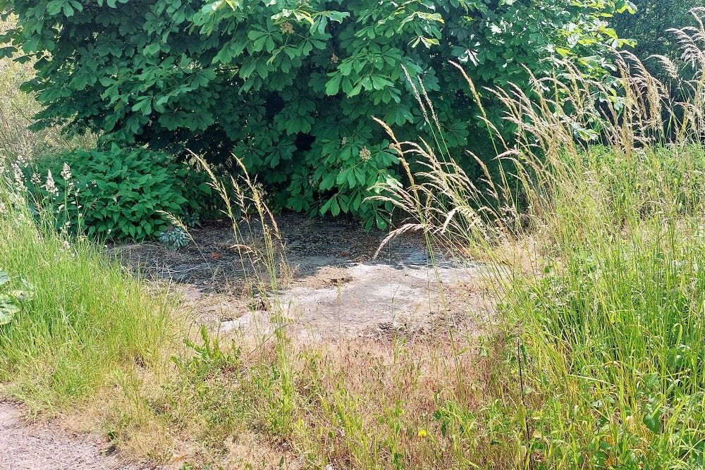 Unfinished Group Shelter 2e Veld #2