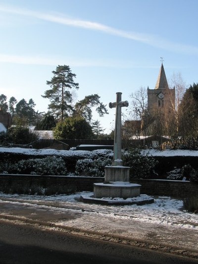 Oorlogsmonument Witley #1