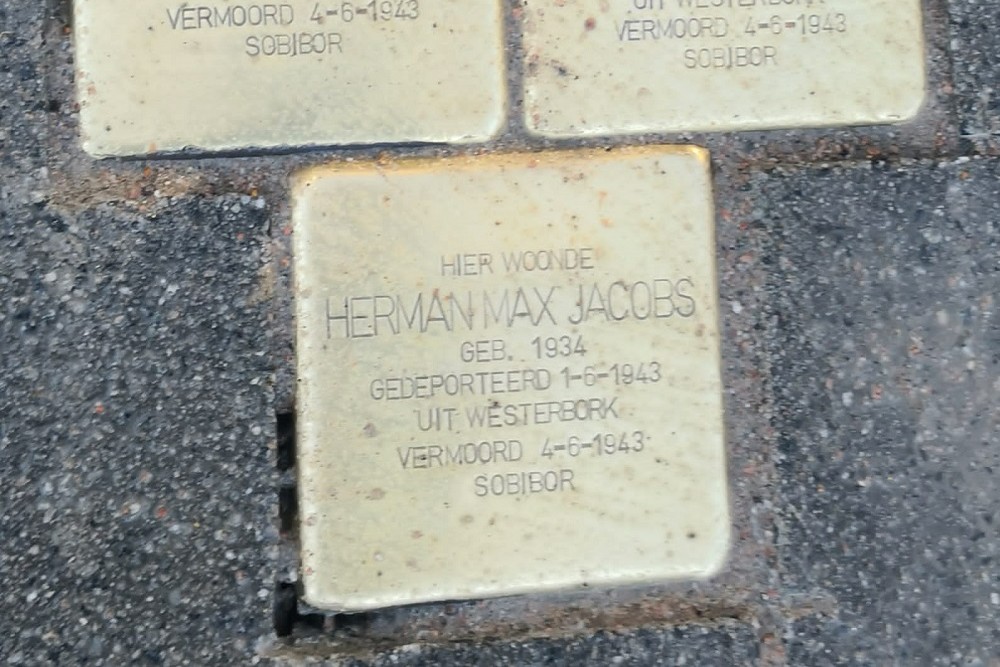 Stolpersteine Pijntorenstraat 20 #3