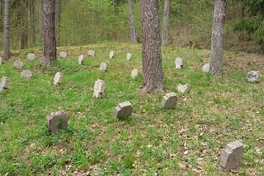 Duitse Militaire Begraafplaats Aukstadvaris #5