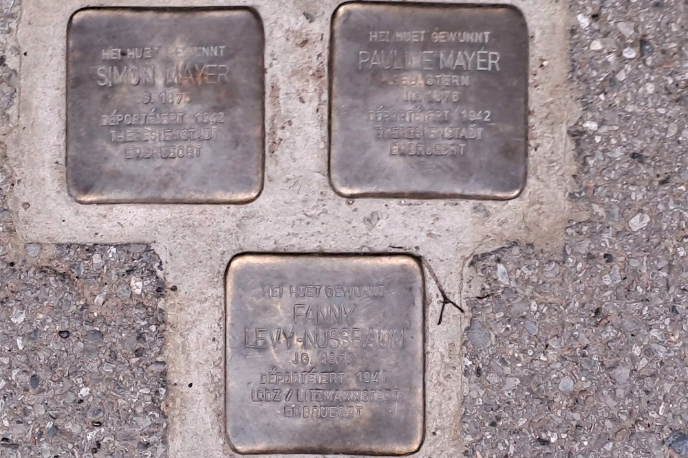 Stolpersteine Rue Ermesinde 15 #1