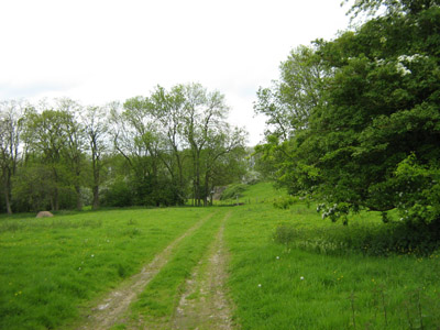 Maginot Line - Fortress Sarts