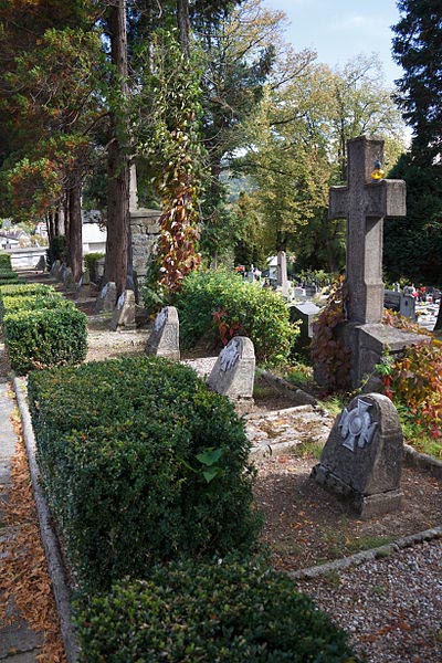 Austrian-Russian War Graves No.364 #1