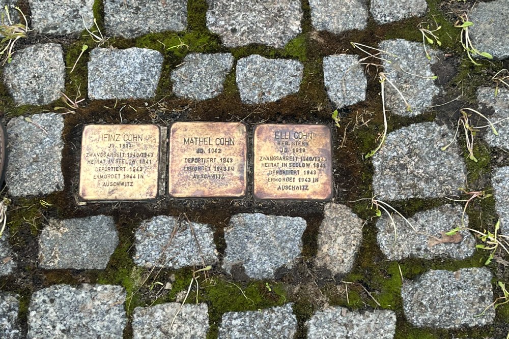 Stumbling Stones Schweizerhaus